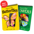 Draw & Play Bundle