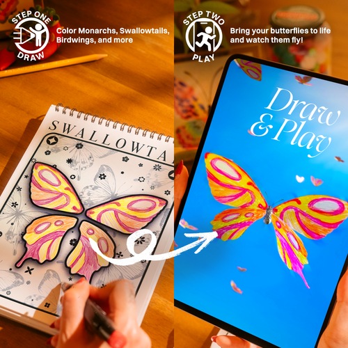 Draw & Play Butterflies