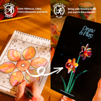 Draw & Play Bundle
