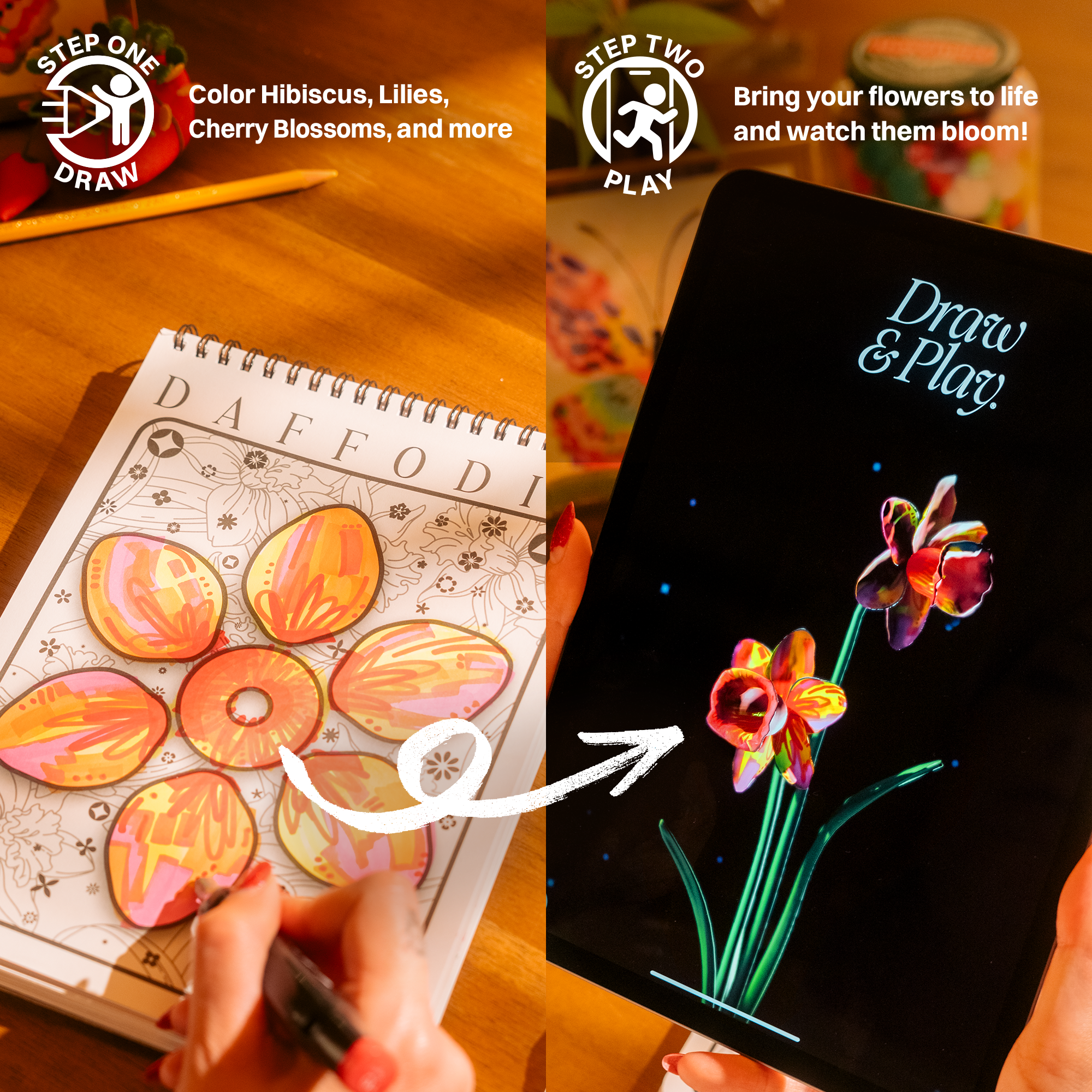 Draw & Play Bundle