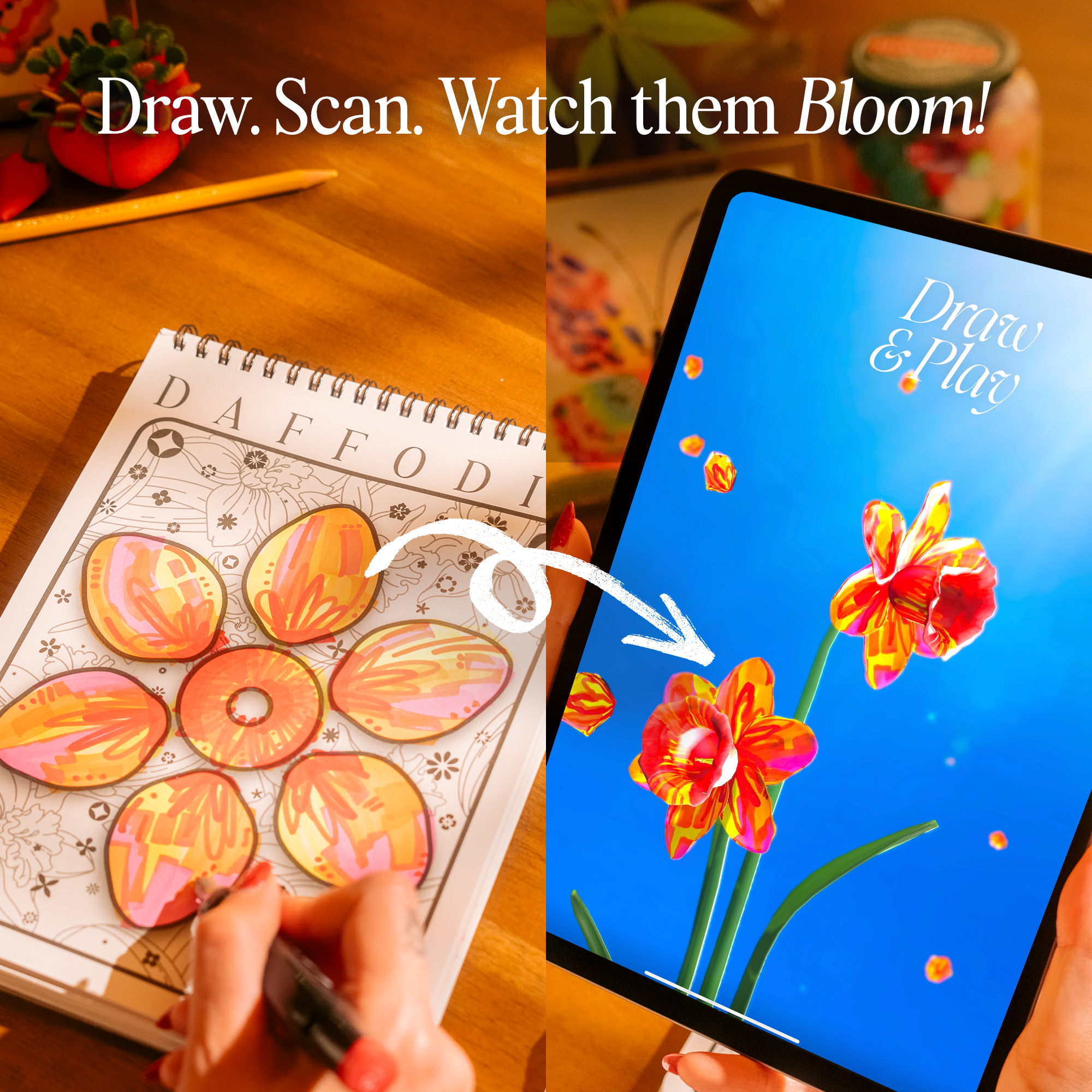 Draw & Play Bundle