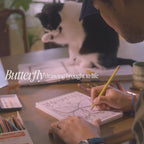 Draw & Play Bundle